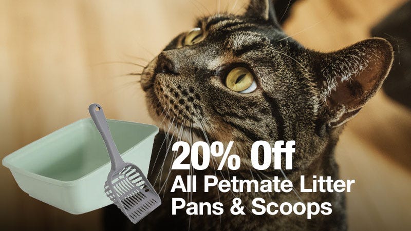 A close-up of a tabby cat looking up, with a litter pan and scoop in the foreground and text that reads "20% Off All Petmate Litter Pans & Scoops."