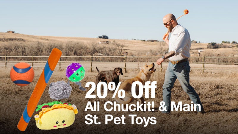 A man is playing fetch with two dogs in a grassy field, holding a Chuckit! launcher. Various colorful pet toys are displayed in the foreground, along with text that reads "20% Off All Chuckit! & Main St. Pet Toys."