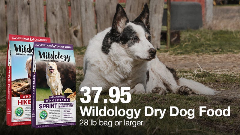 A black and white dog is lying on grass in front of a wooden fence, with two bags of Wildology dry dog food displayed beside it; text over the image advertises 28 lb or larger bags for $37.95.