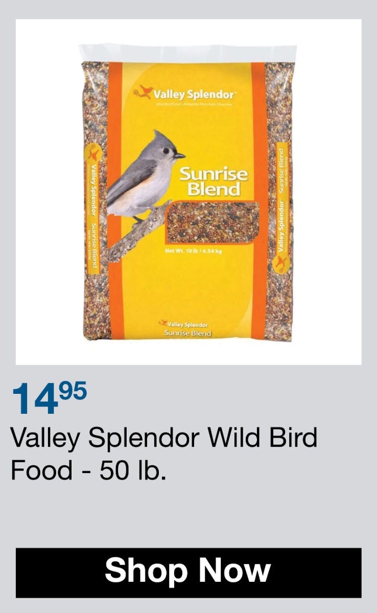 valley splendor wild bird food