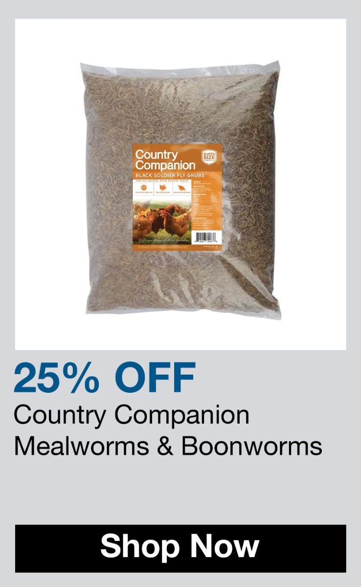 country companion mealworm