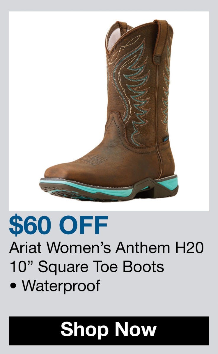 ariat women's anthem