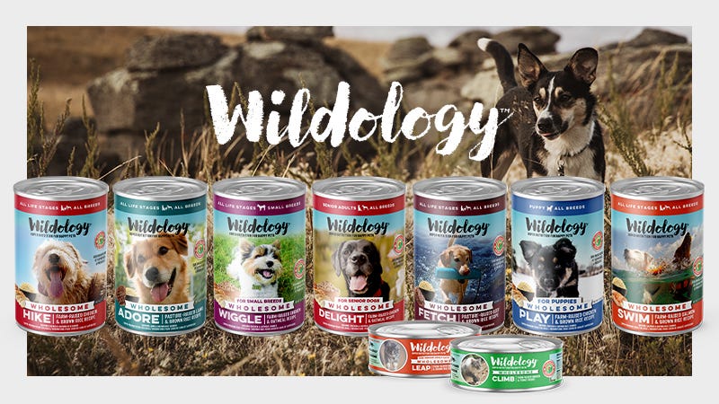 dog in a field in the background, with wildology cans in the front with white wildology logo on top