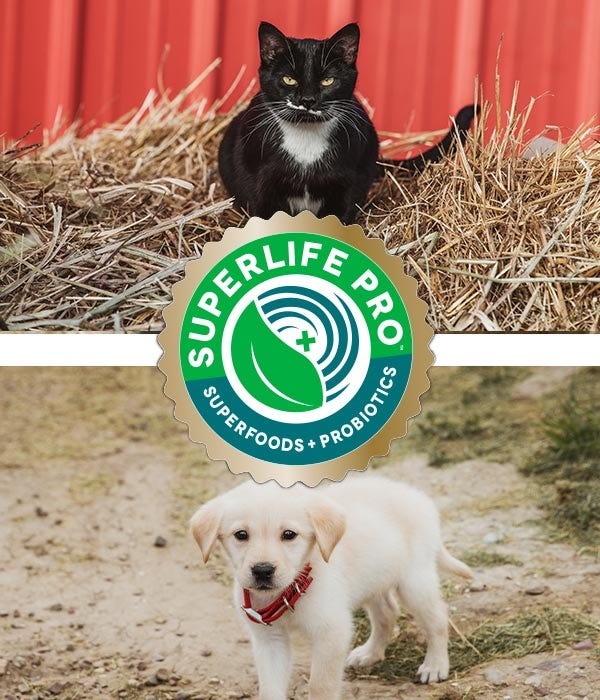A black cat and tan puppy look at the camera.  In middle Superlife Pro logo